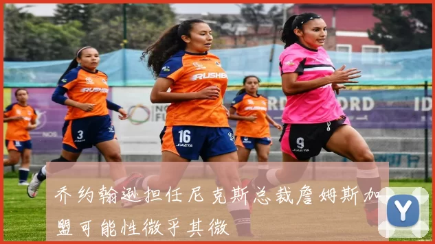 乔约翰逊担任尼克斯总裁詹姆斯加盟可能性微乎其微